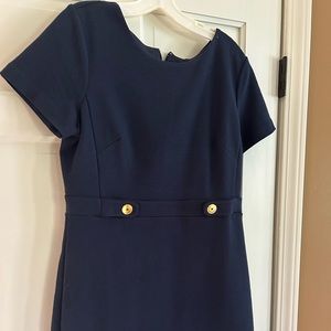 Ann Taylor navy “ribbed” dress. Size 10
